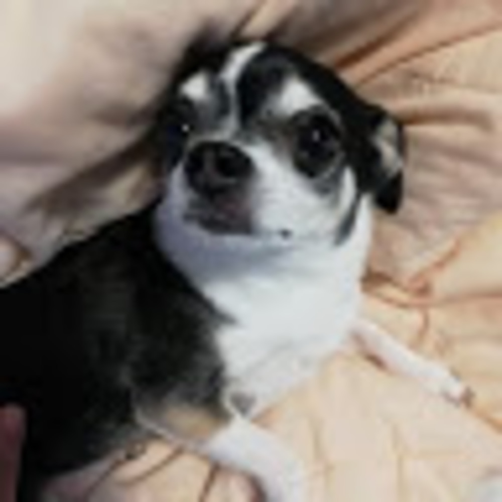 Meet your Posher, Claire